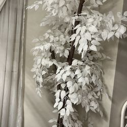 72” Faux Ficus Plant In Ceramic Pot