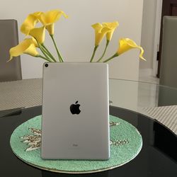 iPad Pro 10.5 In  64 Gb