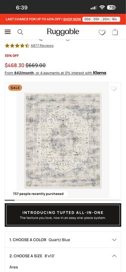 8X10 Ruggable Rug with Rug Pad