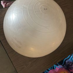 19” Stability Exercise Ball