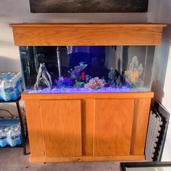 Fish Tank