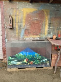 Animal Tank