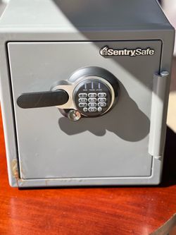 SentrySafe box