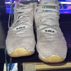 LeBron’s Size 10 1/2