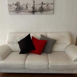 Sofa and Loveseat 
