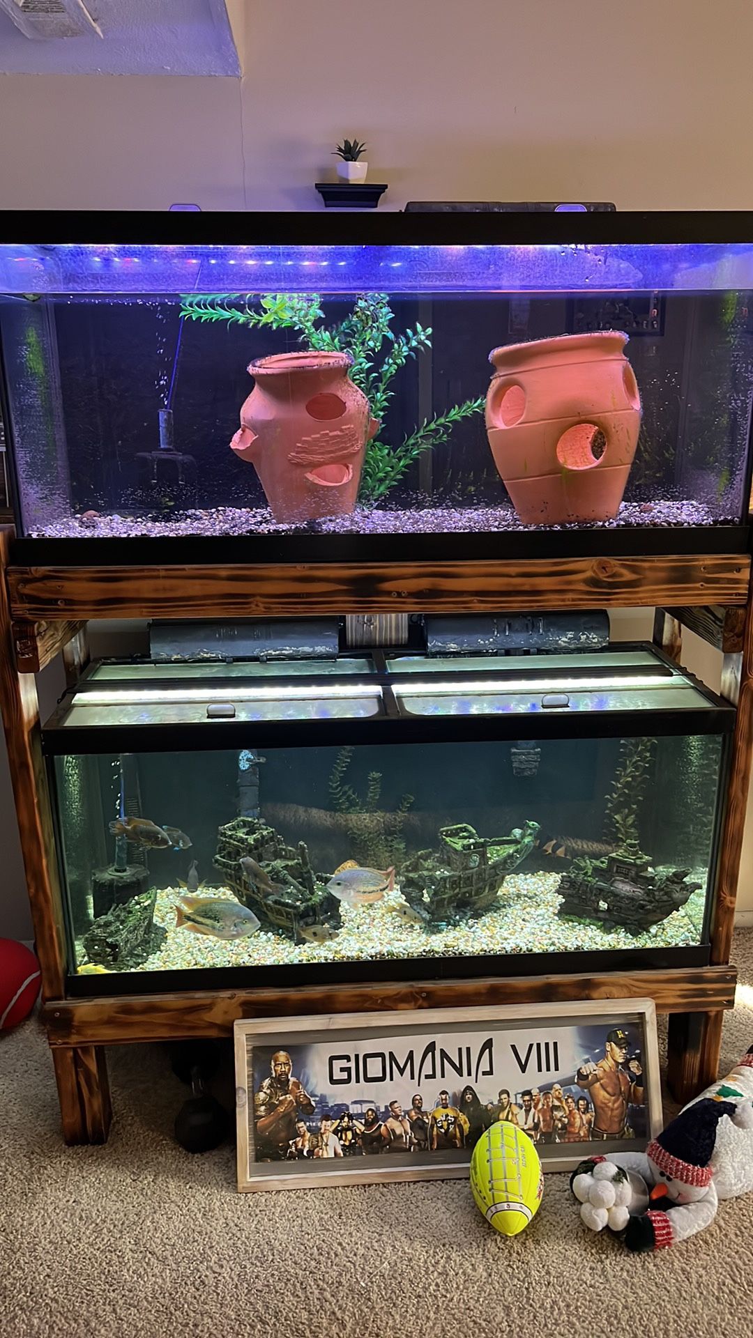 Double Rack Fish Tank Aquarium 