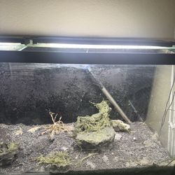 Fluval Plant Light