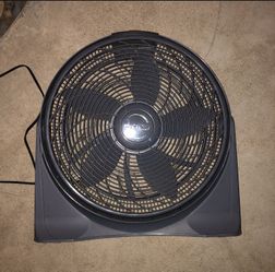 Fan