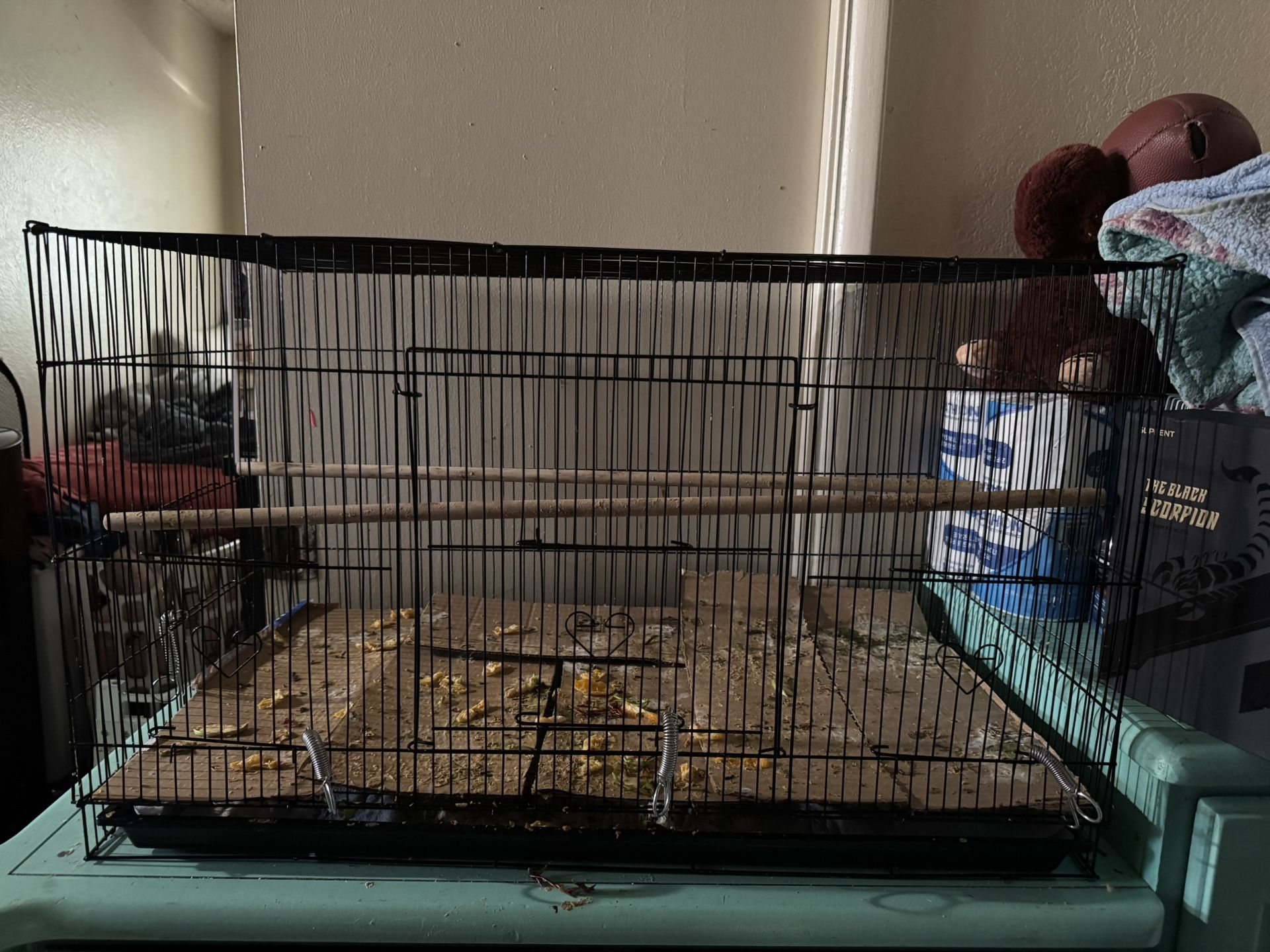 Bird Cage