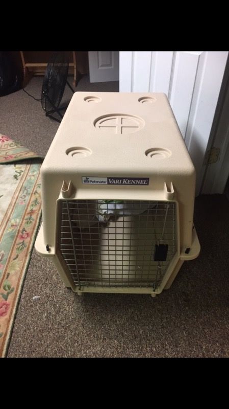 Intermediate Dog Kennel