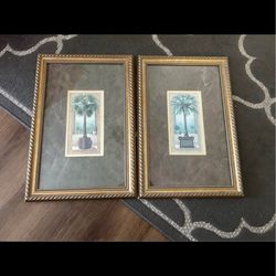 Set of 2 framed palm photos