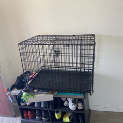 Folding Dog Crate 