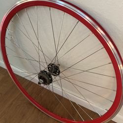 Complete Deep-V Single Speed Wheel
