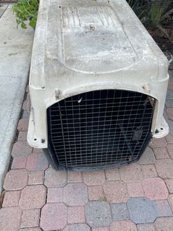Huge dog house