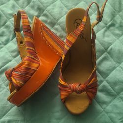Colorful Wedges
