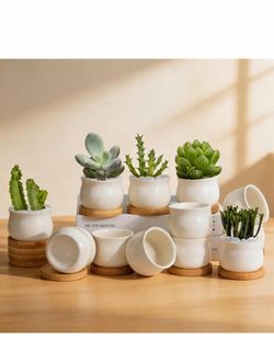 12 pack Succulent Pots 2.6 inch. Ceramic Pots