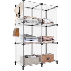 6-Cube Storage Organizer