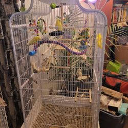 Parakeet Cage