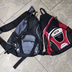Backpacks Set Of 2
