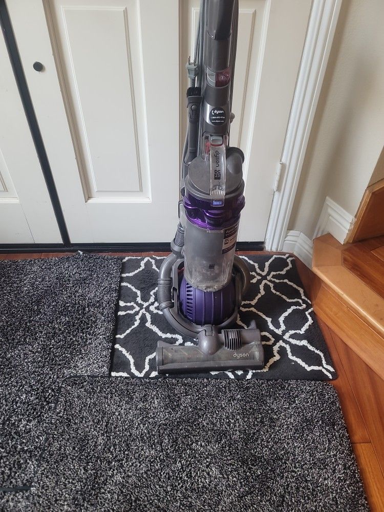 Dyson Dc25
