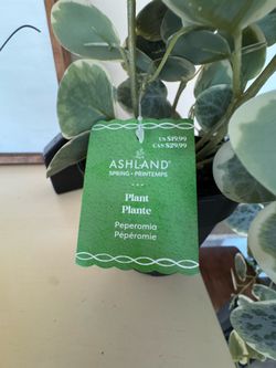 Fake plant