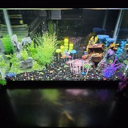 11-Gallon Aquarium Full Set - Filter & Heater Included!