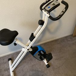 Progear Exercise Bike 