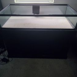 Aquarium Items And Decorations 