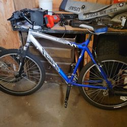 Blue / Silver Adult Bike