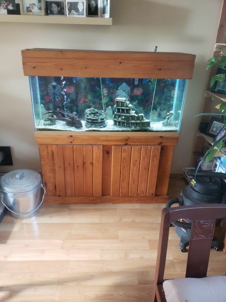 55 Gallon Fish Tank & Stand