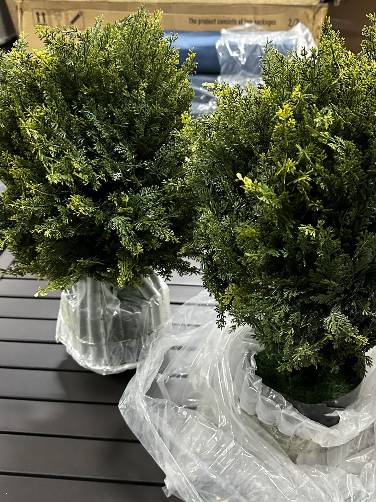 2 20" Cedar Topiary Ball Trees Shrub Bushes