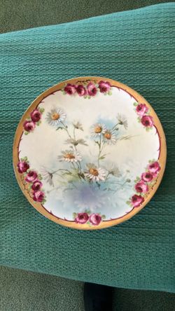 Beautiful Daisy /Rose hand painted plate