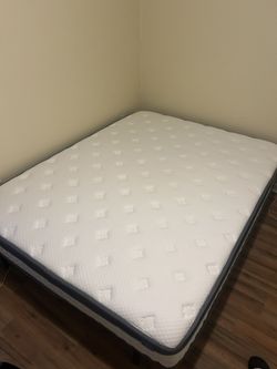 Bed And Box Spring