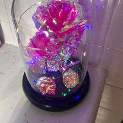 Roses In glass (flowers Roses Gift ) 