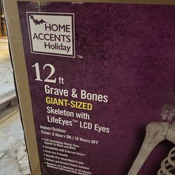 12 ft skeleton LED eyes and light kit for chest
