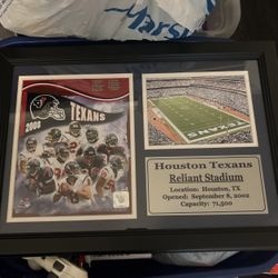 Houston Texans 2008 Reliant Stadium 