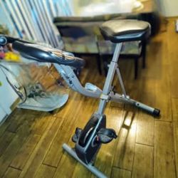 Exerpeutic Foldable Exercise Bike, 8 levels of Resistance Stationary Bicycle