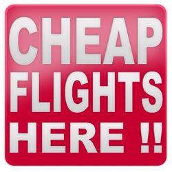 SAVE 50% ON YOUR NEXT FLIGHT BOOKING