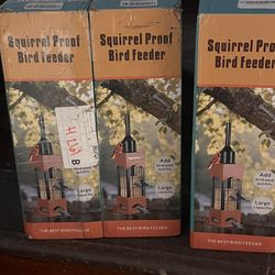Bird Squirrel Feeder 