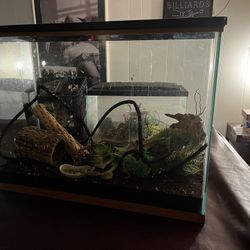 30 Gallon fish tank W Storage 