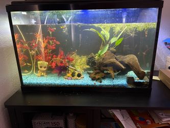 29gal Aquarium and table