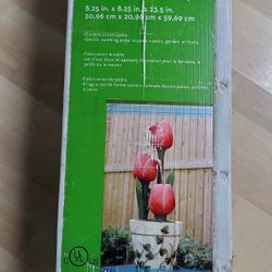 Tulip Fountain