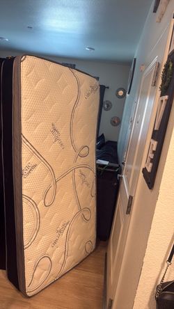 twin mattress and boxspring