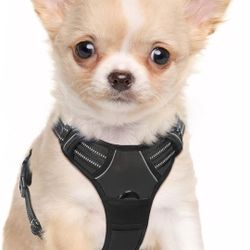 rabbitgoo Dog Harness, No-Pull Pet Harness with 2 Leash Clips, Adjustable Soft Padded Dog Vest, Reflective No-Choke Pet Oxford Vest with Easy Control 