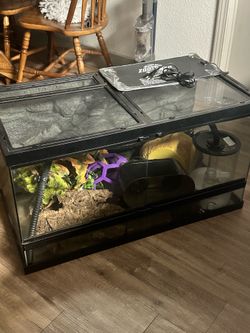 Zoo Med Tank
