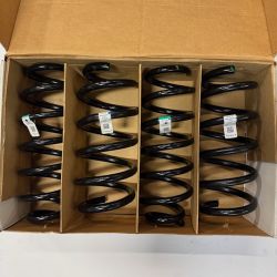 OEM Factory Tesla Springs Fits Model Y