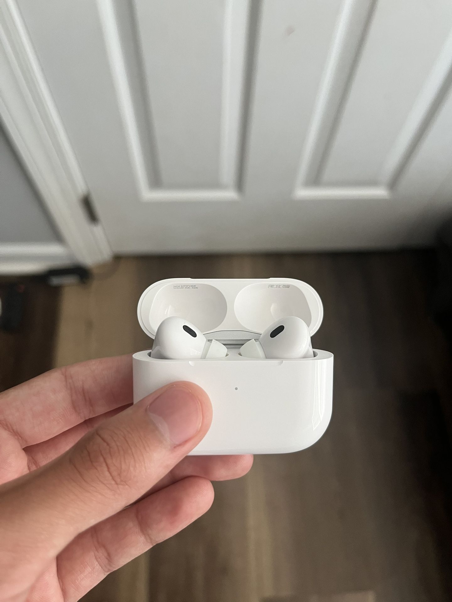 earbuds pro 2