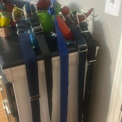 colored Baseball Belts