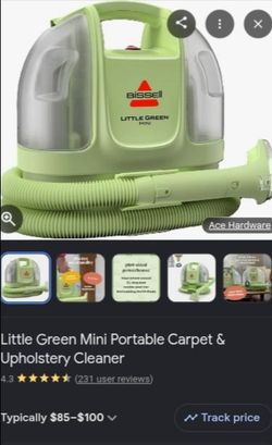Carpet cleaner