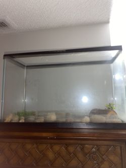 Aquarium 